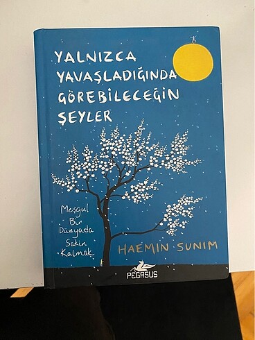 Yalnızca yavaşladığında görebileceğin şeyler kitap
