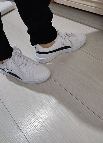 37 no Puma