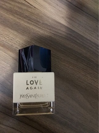 Ysl in love again