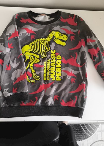 Erkek Çocuk Gri Baskılı Uzun Kollu Sweatshirt