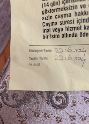 Rainbow Team Rainbow Gri Dikey Elektrikli Süpürge