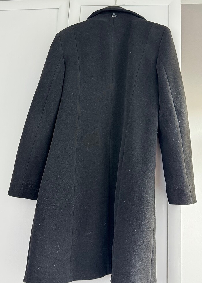 Siyah kaban - Görsel 3