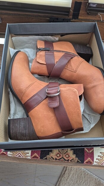 Ecco bot 38 numara