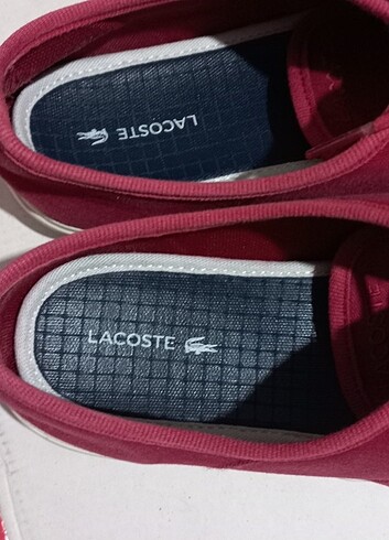 Lacoste Orjinal 