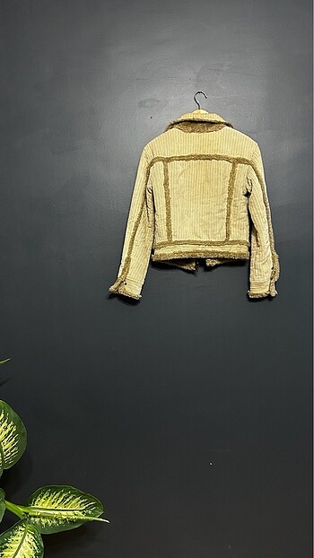 U.S Polo Assn. Kadife ceket