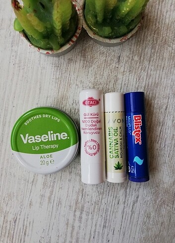 Lip balmlar