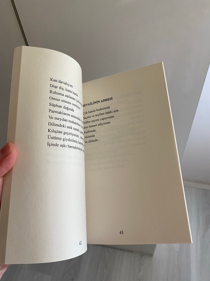 Şiir kitabı - Görsel 4