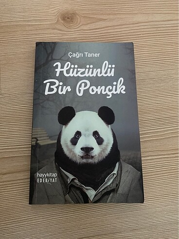 ÇAĞRI TANER HÜZÜNLÜ BİR PONÇİK