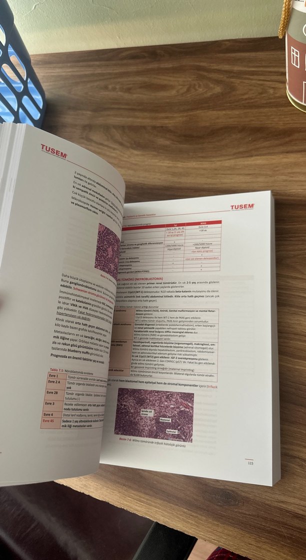 TUSEM Patoloji kitabı - Görsel 3