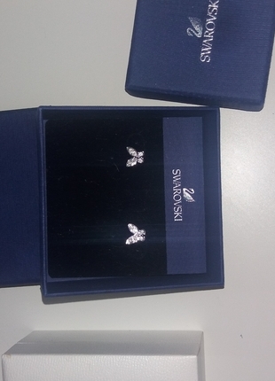 swarovski Swarovski kelebek küpe