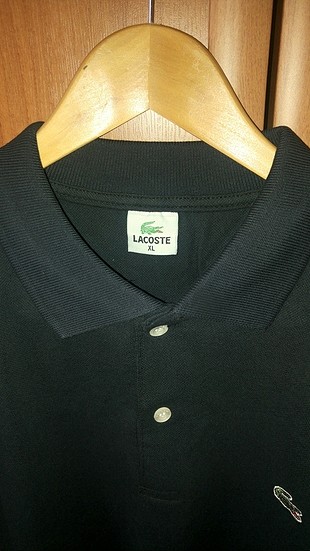 Lacoste lacoste lacivert