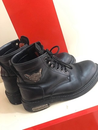 40 Beden Harley bot