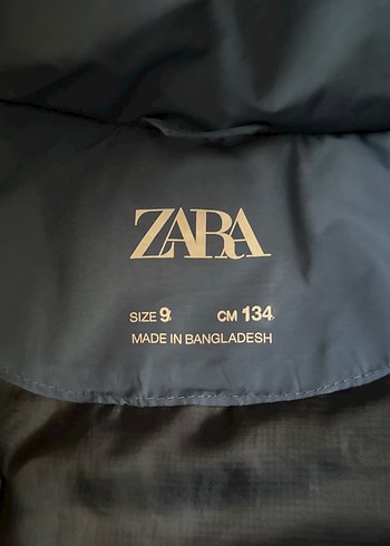 Zara Kapüşonlu Koyu Mavi Erkek Mont - Görsel 2