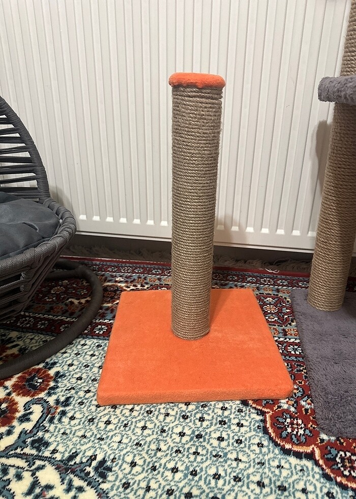 Kedi ürünleri - Görsel 5