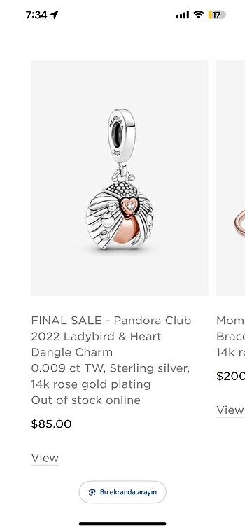Beden Pandora Charm