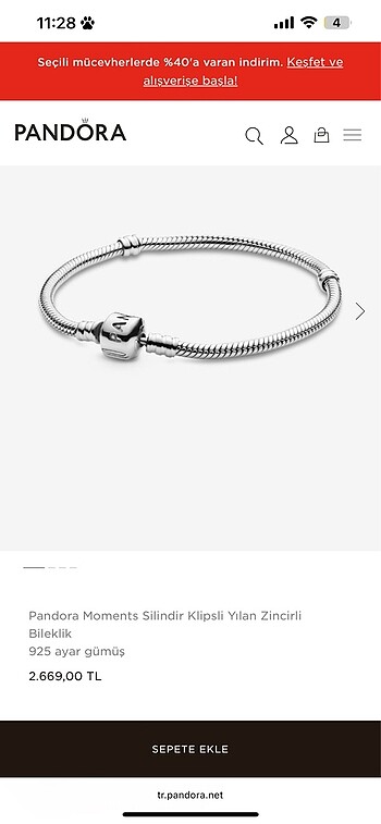 Pandora Bileklik