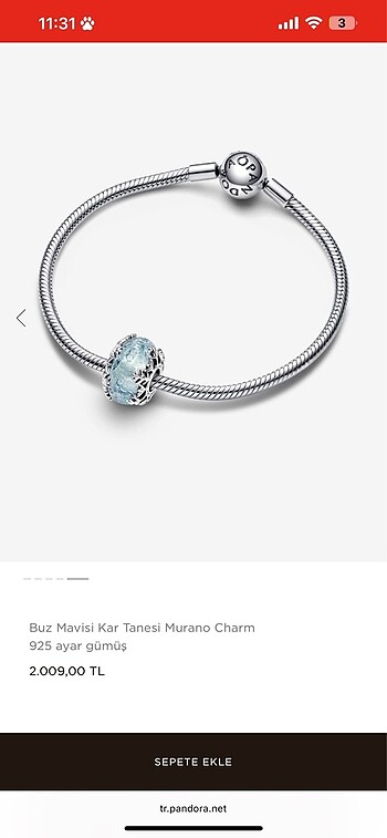 Pandora Charm