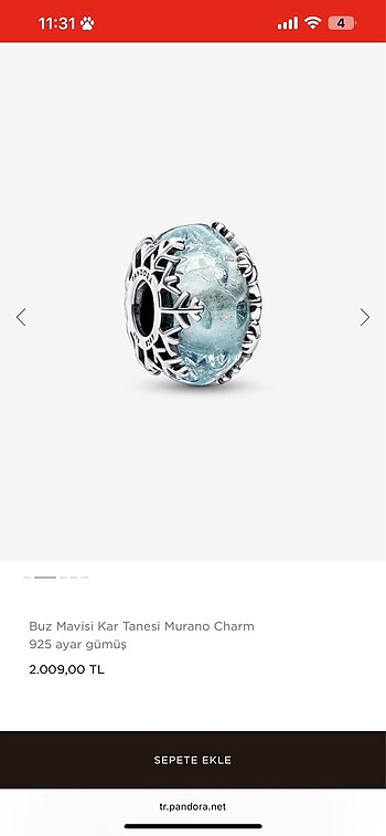  Beden Pandora Charm