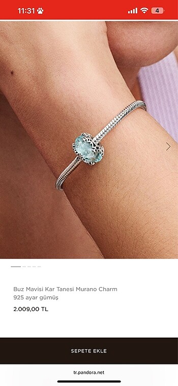  Beden mavi Renk Pandora Charm