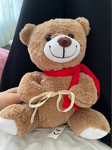 Peluş ayı