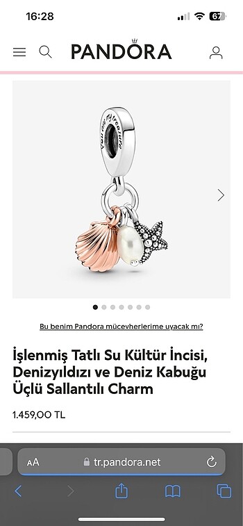 Deniz kabuğu üçlü Charm