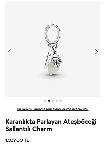 Diğer Ateşböceği Charm