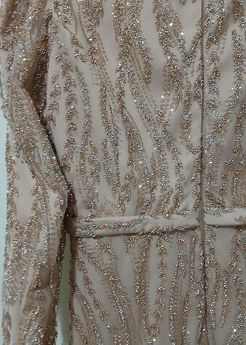 Krem Rengi Uzun İşlemeli Abiye Elbise - Görsel 4