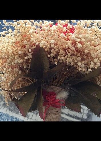 Gelin cicegi - Görsel 2