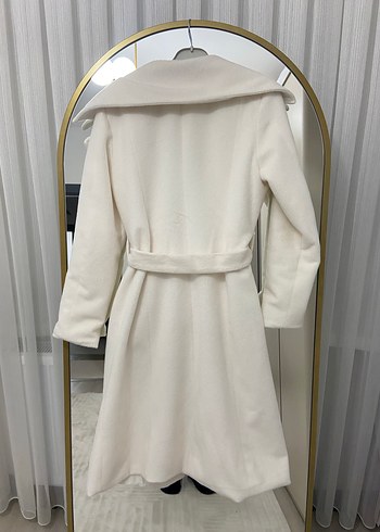 Beyaz kuşaklı kaban - Görsel 7