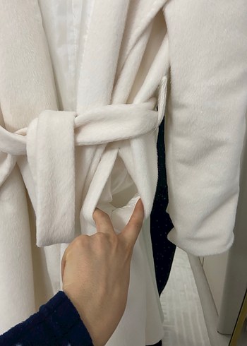 Beyaz kuşaklı kaban - Görsel 5