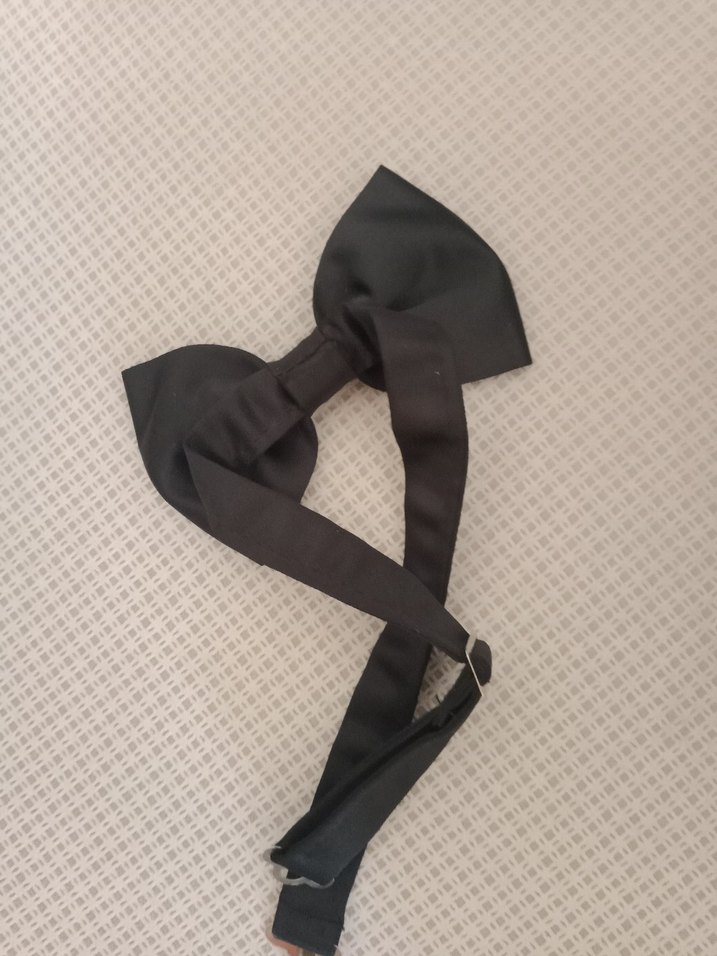 Klasik Erkek Papyon - Görsel 2