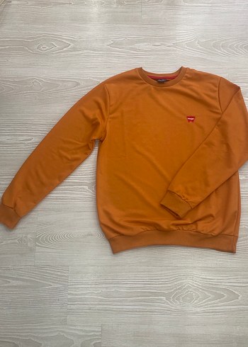 Diğer Erkek Kahverengi Bisiklet Yaka Sweatshirt
