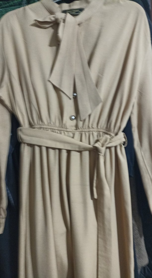 Bej Kuşaklı Uzun Kadın Elbise - Görsel 4