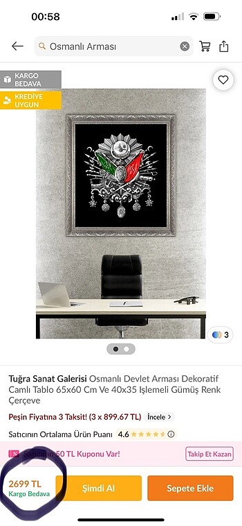 Osmanlı arması - Görsel 3