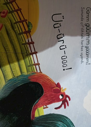 Çiftliğe Dokun - İlk Dokun Hisset Kitabım - Görsel 2