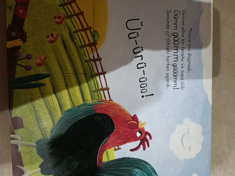 Çiftliğe Dokun - İlk Dokun Hisset Kitabım - Görsel 2