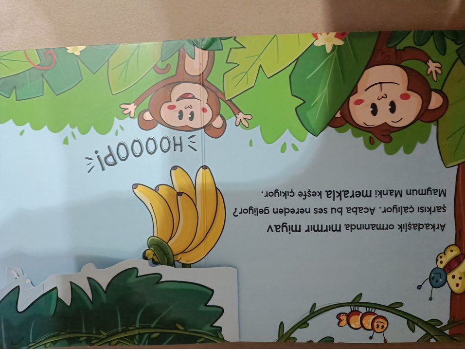 Pop-Up ile Arkadaşlık Ormanı Çocuk Kitabı - Görsel 4