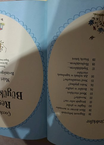 Büyük Sözlük & Resimli Kitabı - Görsel 5