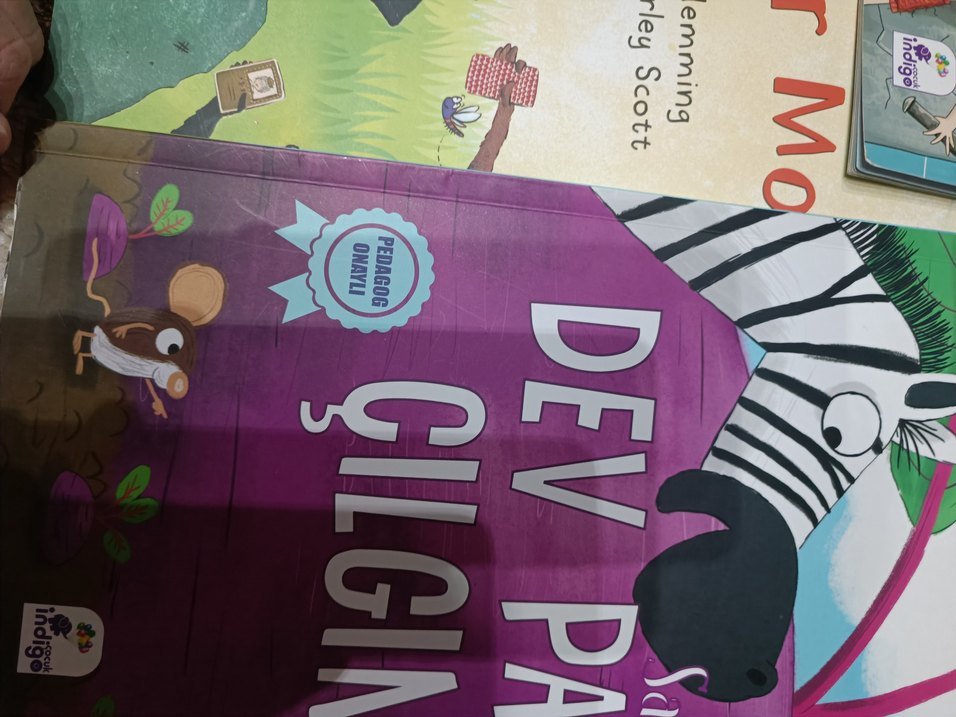 Profesör Dinozor'un Harikalar Diyarı Çocuk Kitabı - Görsel 2