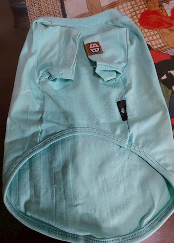 Turkuaz Parlak Sokak Stili Kedi Kıyafeti - Görsel 3