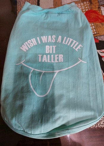 Turkuaz Parlak Sokak Stili Kedi Kıyafeti - Görsel 2