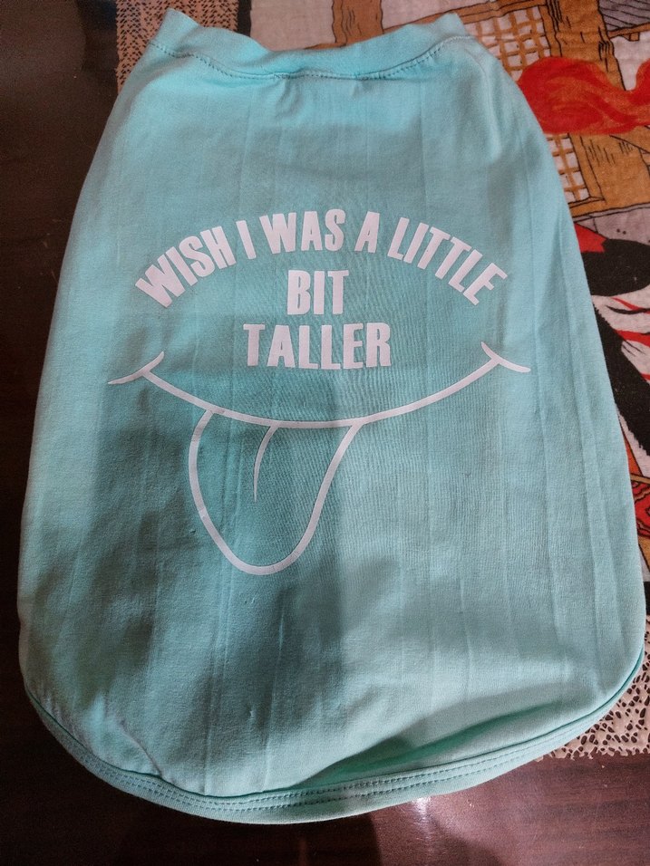 Turkuaz Parlak Sokak Stili Kedi Kıyafeti - Görsel 2