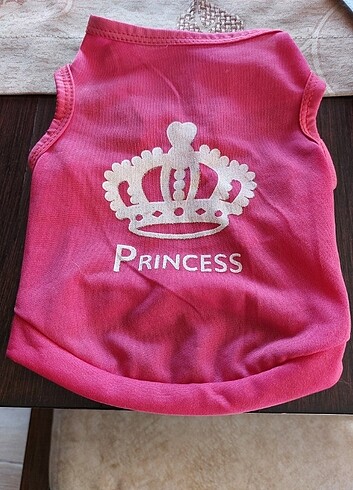 Küçük kedi köpek kiyafeti - Görsel 4