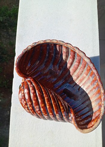 Renkli Kahverengi Deniz Kabuğu Biblo - Görsel 2