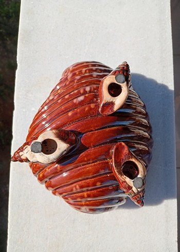 Renkli Kahverengi Deniz Kabuğu Biblo - Görsel 5