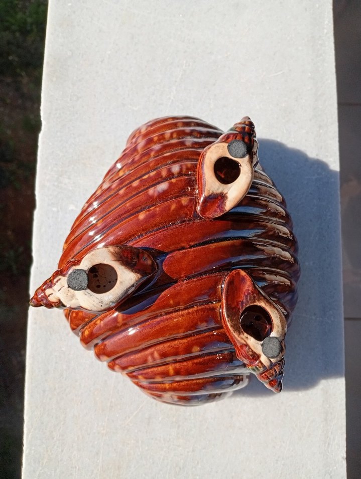 Renkli Kahverengi Deniz Kabuğu Biblo - Görsel 5