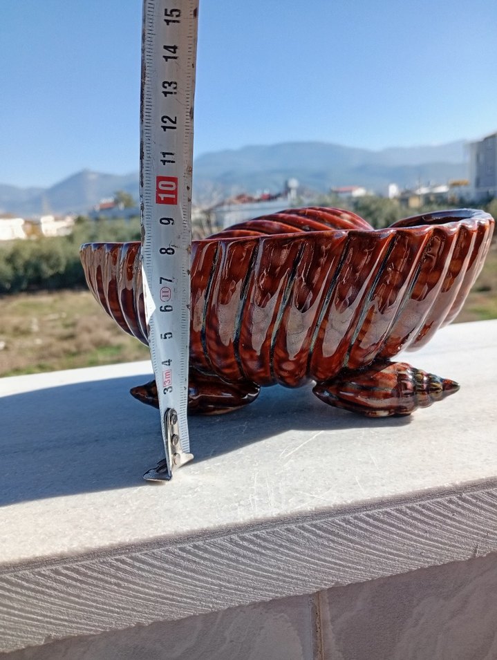 Renkli Kahverengi Deniz Kabuğu Biblo - Görsel 3