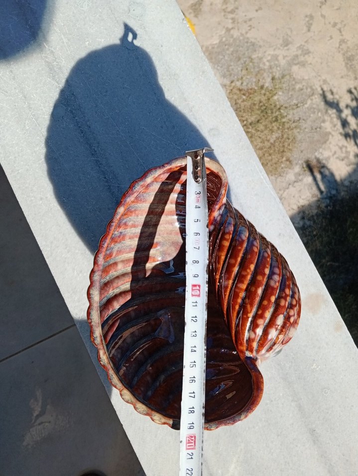 Renkli Kahverengi Deniz Kabuğu Biblo - Görsel 4