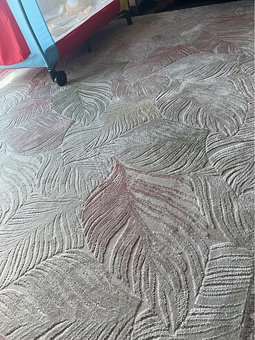 Diğer Salon halısı 6 metre kare