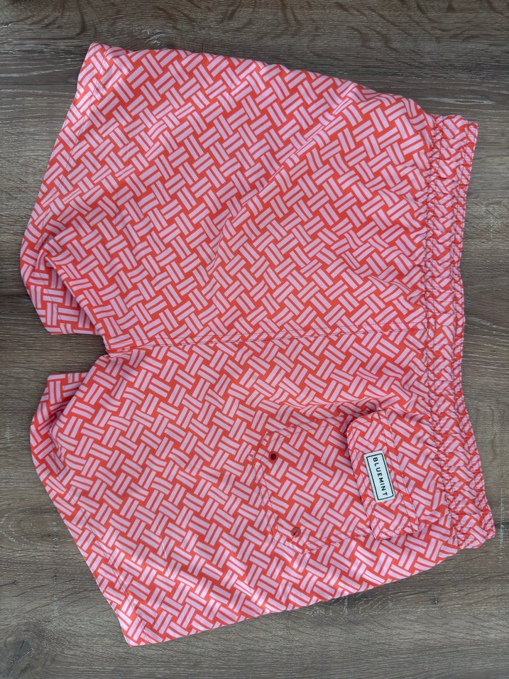 Bluemint Deniz Şortu - Görsel 2